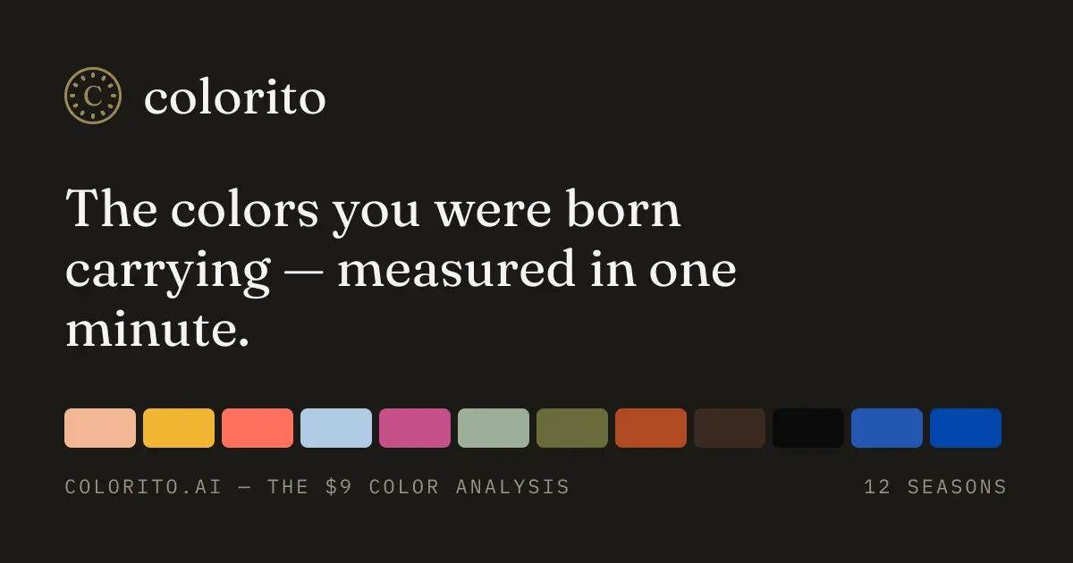Colorito AI官网首页截图