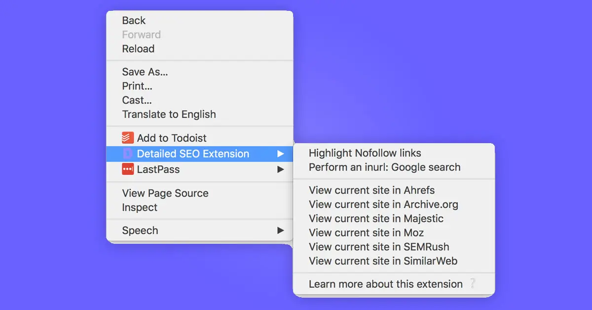 Detailed SEO Extension官网首页截图