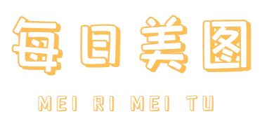 每日美图官网首页截图