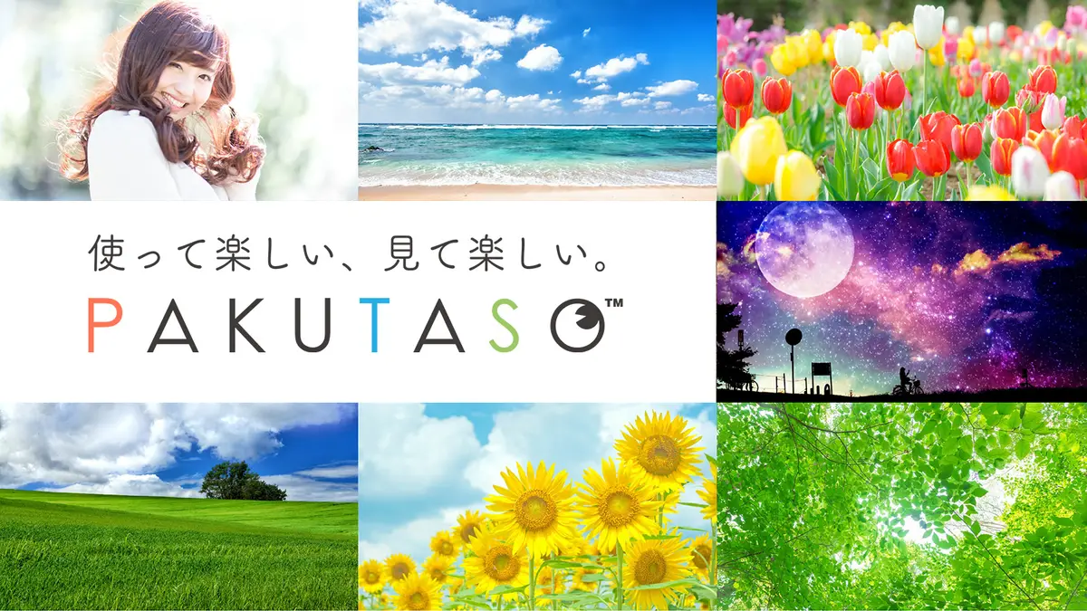 PAKUTASO官网首页截图