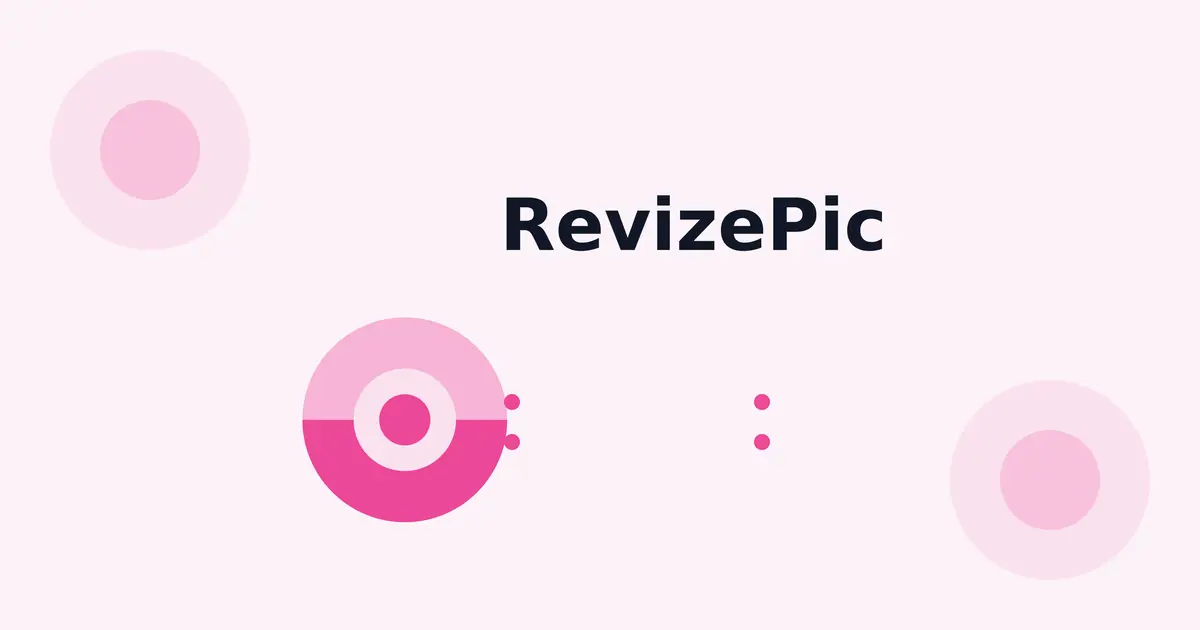 RevizePic官网首页截图