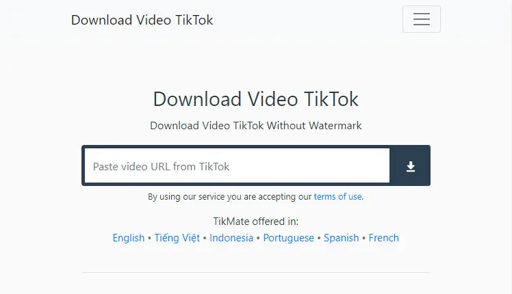 Tikmate官网首页截图