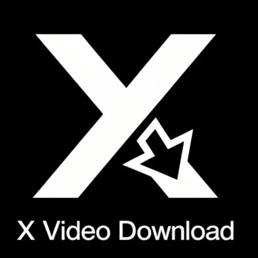 X 视频下载工具官网首页截图